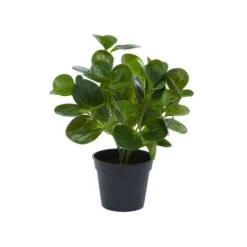 Green Plastic Traditional Artificial Foliage, 10" X 7" X 13" -Michaels D404856S 7