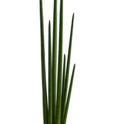 3.5ft. Sansevieria Snake Artificial Plant 10 3.5ft. Sansevieria Snake Artificial Plant -Michaels D478480S 13