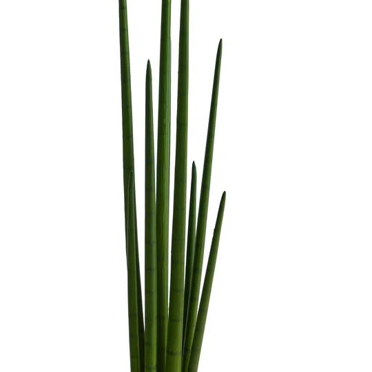 3.5ft. Sansevieria Snake Artificial Plant 6 3.5ft. Sansevieria Snake Artificial Plant - Image 4