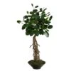 2ft. Ficus Bonsai Artificial Tree In Decorative Planter -Michaels D478504S 1
