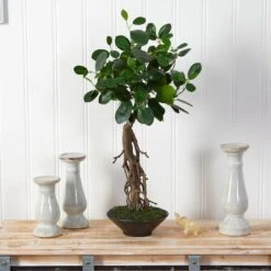 2ft. Ficus Bonsai Artificial Tree In Decorative Planter -Michaels D478504S 3