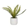 Green Ceramic Contemporary Artificial Foliage, 12" X 15" X 10" 2 Green Ceramic Contemporary Artificial Foliage, 12" X 15" X 10" -Michaels D507807S 1