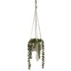 Flora Bunda® 5.5" String Of Pearls Macramé Hanging Ceramic Donkey Tails -Michaels D511309S 1