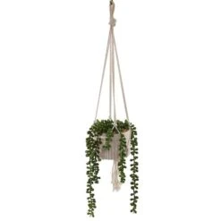 Flora Bunda® 5.5" String Of Pearls Macramé Hanging Ceramic Donkey Tails