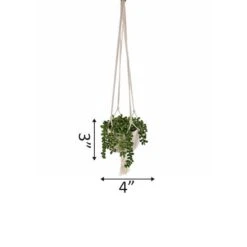 Flora Bunda® 5.5" String Of Pearls Macramé Hanging Ceramic Donkey Tails -Michaels D511309S 2