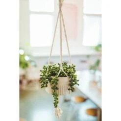 Flora Bunda® 5.5" String Of Pearls Macramé Hanging Ceramic Donkey Tails -Michaels D511309S 3