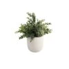 Flora Bunda® 6" Eucalyptus Plant In Ceramic Texture Planter -Michaels D511314S 1
