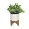 Flora Bunda® 11" Tea Plant In Geo Ceramic Footed Pot 1 Flora Bunda® 11" Tea Plant In Geo Ceramic Footed Pot -Michaels D511319S 1