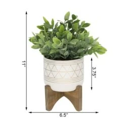 Flora Bunda® 11" Tea Plant In Geo Ceramic Footed Pot -Michaels D511319S 2