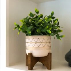 Flora Bunda® 11" Tea Plant In Geo Ceramic Footed Pot -Michaels D511319S 3