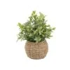 Flora Bunda® 11.7" Tea Leaf Plant In Basket -Michaels D511321S 1