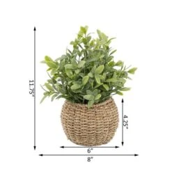Flora Bunda® 11.7" Tea Leaf Plant In Basket -Michaels D511321S 2