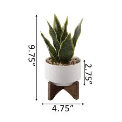 Flora Bunda® 9.7" Snake Plant In Ceramic Pot With Wood Stand -Michaels D511323S 2