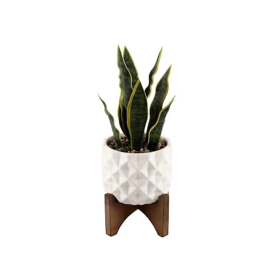 Flora Bunda® 12.5" Snake Plant In Ceramic Planter With Stand 3 Flora Bunda® 12.5" Snake Plant In Ceramic Planter With Stand