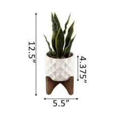 Flora Bunda® 12.5" Snake Plant In Ceramic Planter With Stand 9 Flora Bunda® 12.5" Snake Plant In Ceramic Planter With Stand -Michaels D511324S 2