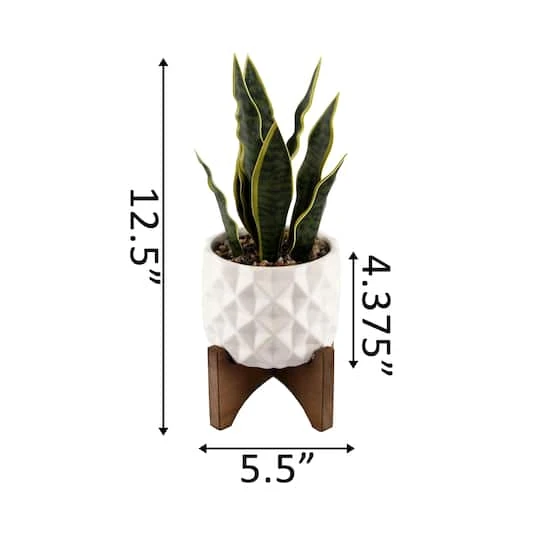 Flora Bunda® 12.5" Snake Plant In Ceramic Planter With Stand 6 Flora Bunda® 12.5" Snake Plant In Ceramic Planter With Stand - Image 4