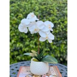 Flora Bunda® 16" Real-Touch Orchid In Ceramic Pot -Michaels D511329S 3
