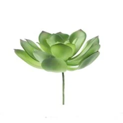 Flora Bunda® Large Little Gem Succulent Pick, 6ct.