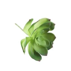 Flora Bunda® Large Little Gem Succulent Pick, 6ct. -Michaels D581945S 3