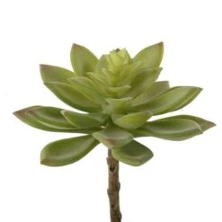 Flora Bunda® Jovibarba Emerald Spring Succulent Pick, 6ct. -Michaels D581946S 1 1