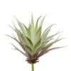 Flora Bunda® Agave Succulent Pick, 6ct. -Michaels D581948S 1
