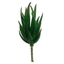 Flora Bunda® Aloe Zebra Succulent Pick, 12ct. -Michaels D581950S 1 1