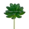 Flora Bunda® Stonecrop Succulent Pick, 12ct. -Michaels D581953S 1