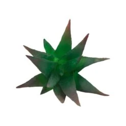 Flora Bunda® Aloe Vera Succulent Pick, 6ct. -Michaels D581954S 2