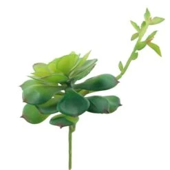 Flora Bunda® Echeveria Lola Succulent Pick, 6ct.