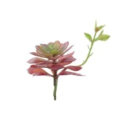 Flora Bunda® Red Echeveria Lola Succulent Pick, 6ct. -Michaels D581956S 2