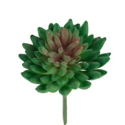 Flora Bunda® Bean Succulent Pick, 12ct.