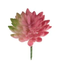 Flora Bunda® Pink Bean Succulent Pick, 12ct. -Michaels D581958S 2