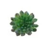 Flora Bunda® Succulent Pick, 6ct. -Michaels D581959S 1