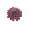 Flora Bunda® Red Succulent Pick, 6ct. -Michaels D581960S 1