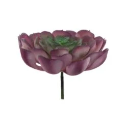 Flora Bunda® Red Large Echeveria Powder Succulent Pick, 6ct. -Michaels D581961S 2