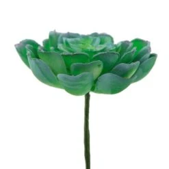 Flora Bunda® Large Echeveria Powder Succulent Pick, 6ct. -Michaels D581962S 2