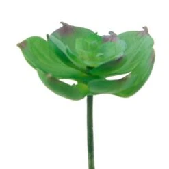 Flora Bunda® Small Echeveria Afterglow Succulent Pick, 12ct. -Michaels D581963S 2