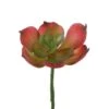 Flora Bunda® Red Small Echeveria Afterglow Succulent Pick, 12ct. -Michaels D581964S 1