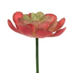 Flora Bunda® Red Small Echeveria Succulent Pick, 12ct. -Michaels D581965S 2