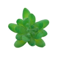 Flora Bunda® Green Small Little Gem Succulent Pick, 12ct. -Michaels D581966S 2