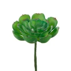 Flora Bunda® Small Echeveria Succulent Pick, 12ct. -Michaels D581967S 2