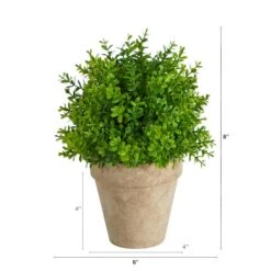 8'' Boxwood Artificial Plant In Decorative Planter -Michaels D590117S 2