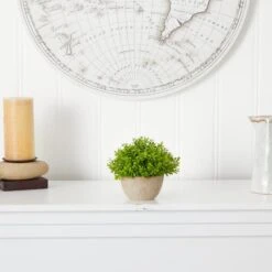 5'' Boxwood Artificial Plant In Decorative Planter -Michaels D590118S 3