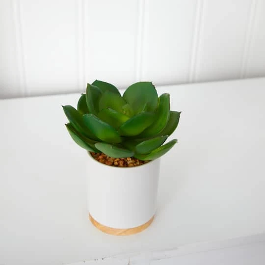6'' Succulent Artificial Plant In White Ceramic Planter 6 6'' Succulent Artificial Plant In White Ceramic Planter - Image 4