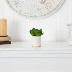 6'' Succulent Artificial Plant In White Ceramic Planter 11 6'' Succulent Artificial Plant In White Ceramic Planter -Michaels D590119S 4
