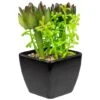Northlight 6" Potted Green Succulent Arrangement -Michaels D602891S 1