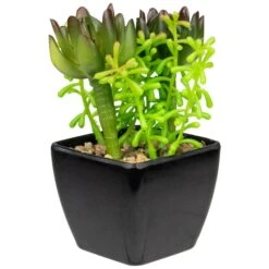 Northlight 6" Potted Green Succulent Arrangement