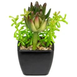 Northlight 6" Potted Green Succulent Arrangement -Michaels D602891S 2