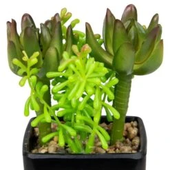 Northlight 6" Potted Green Succulent Arrangement -Michaels D602891S 3