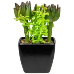 Northlight 6" Potted Green Succulent Arrangement -Michaels D602891S 5